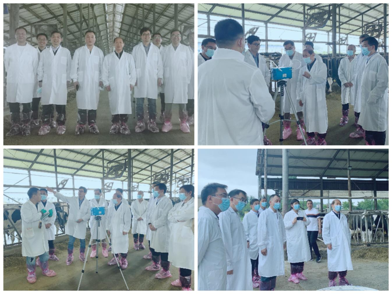 花花牛丨河南農(nóng)業(yè)大學(xué)黨委副書記、校長(zhǎng)介曉磊一行蒞臨花花牛河南瑞亞參觀調(diào)研