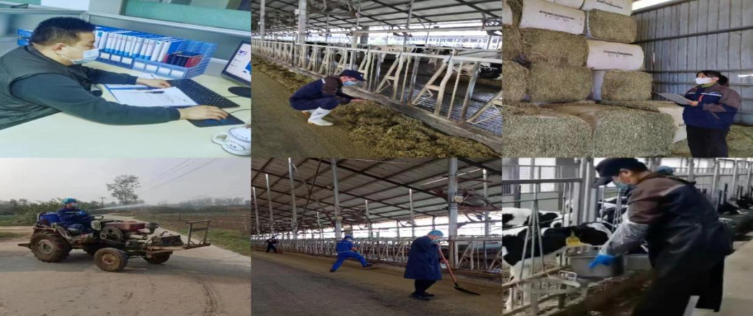 @全體花花牛人：請珍惜你的崗位，請善待我們共同的“花花?！?！