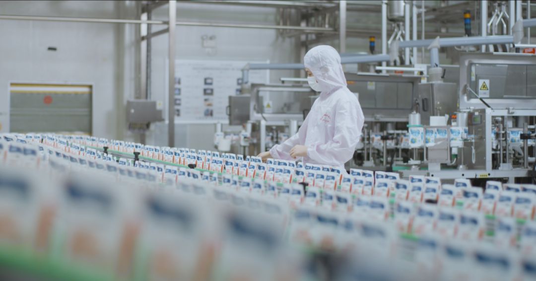 快訊 | 河南省人民政府食品安全委員會辦公室第三批食品安全示范區(qū)驗收組領(lǐng)導(dǎo)蒞臨花花牛乳業(yè)集團驗收食品安全示范區(qū)建設(shè)情況 快訊 | 河南省人民政府食品安全委員會辦公室第三批食品安全示范區(qū)驗收組領(lǐng)導(dǎo)蒞臨花花牛乳業(yè)集團驗收食品安全示范區(qū)建設(shè)情況