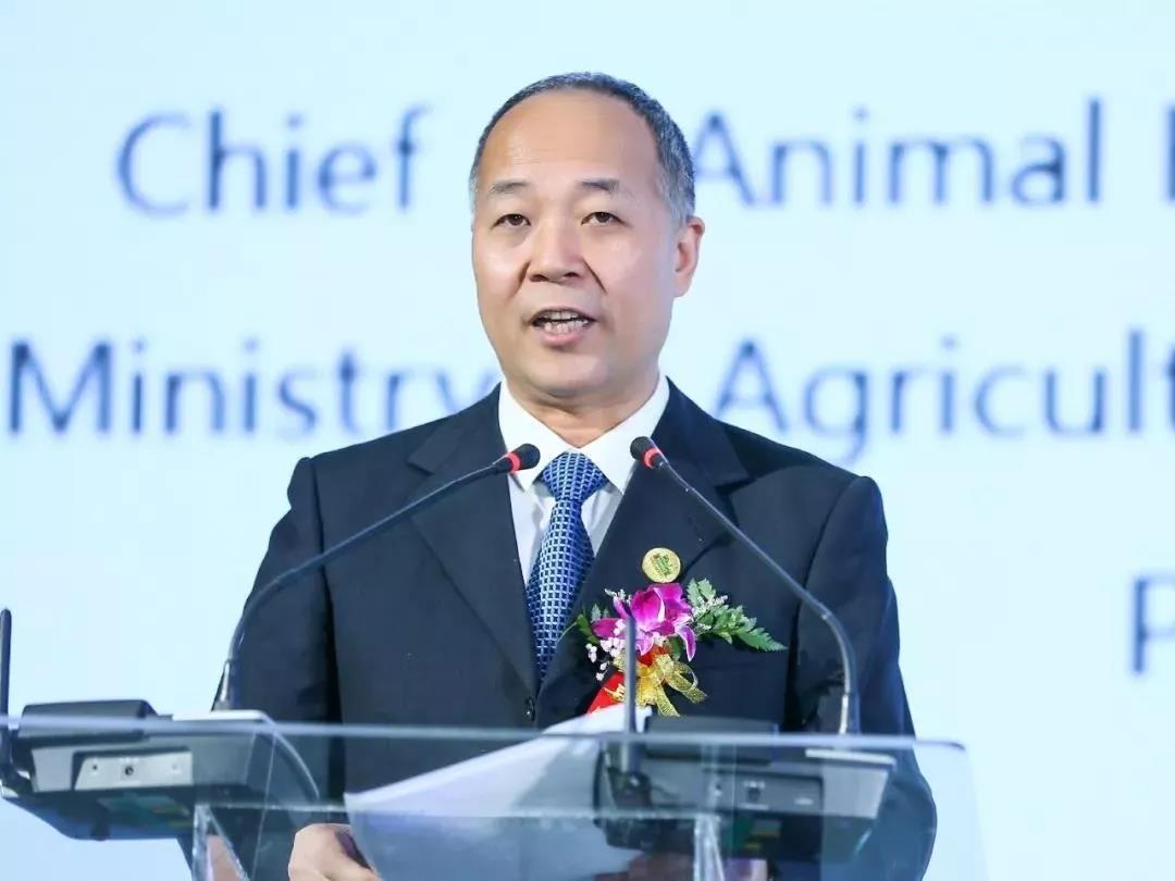 SDDDC走進河南，看看花花牛的國際范兒！