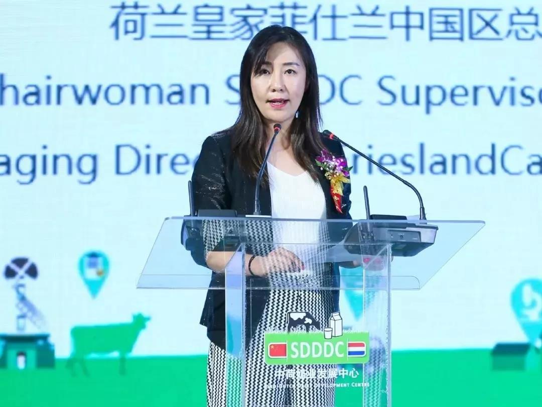 SDDDC走進河南，看看花花牛的國際范兒！