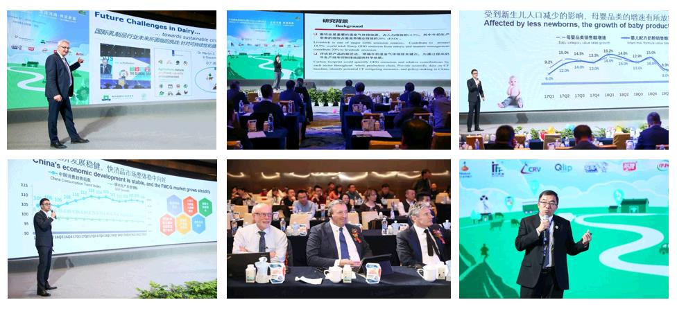 SDDDC走進河南，看看花花牛的國際范兒！