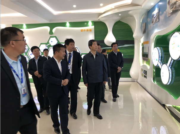 河南省委副書記、省長陳潤兒一行蒞臨 花花牛集團(tuán)魯山瑞亞牧業(yè)有限公司視察調(diào)研