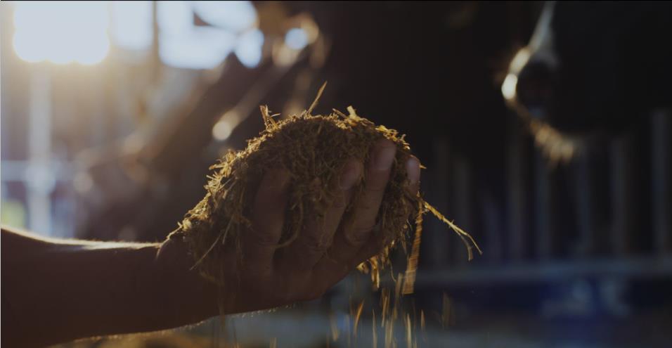 又雙叒叕獲獎啦！花花牛榮獲“乳品質量安全管理 優(yōu)秀企業(yè)”