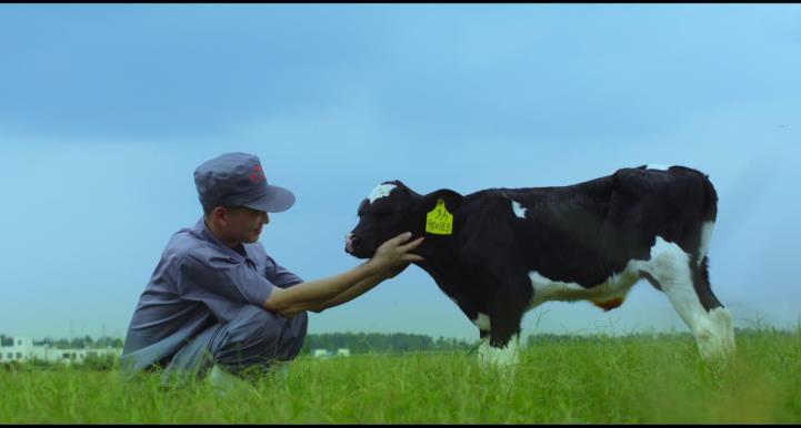 又雙叒叕獲獎啦！花花牛榮獲“乳品質量安全管理 優(yōu)秀企業(yè)”