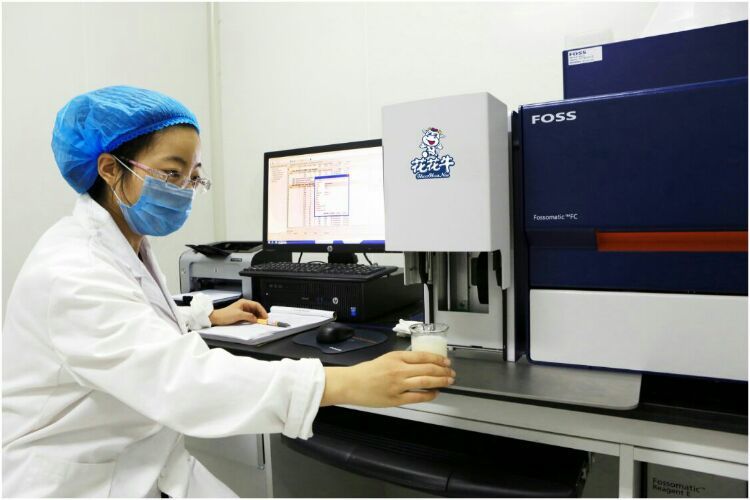 花花牛：務(wù)實、創(chuàng)新領(lǐng)潮市場 大企業(yè)體現(xiàn)大擔當