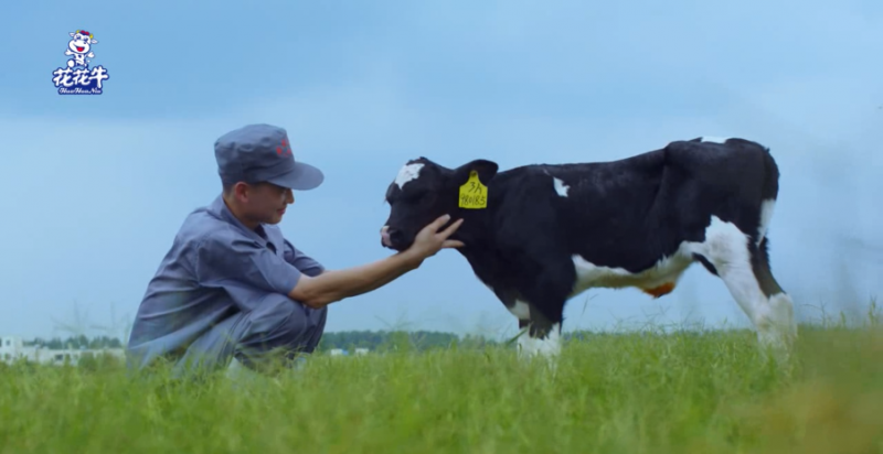 中國動物衛(wèi)生流調(diào)中心首席科學家范偉興一行蒞臨花花牛郟縣發(fā)展、魯山瑞亞參觀調(diào)研