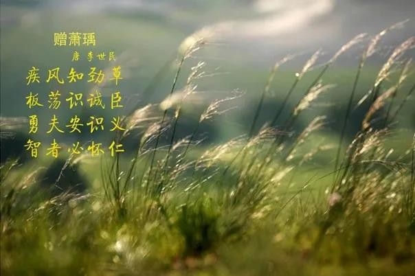 花花牛 | 疾風(fēng)來臨，你是不是勁草？